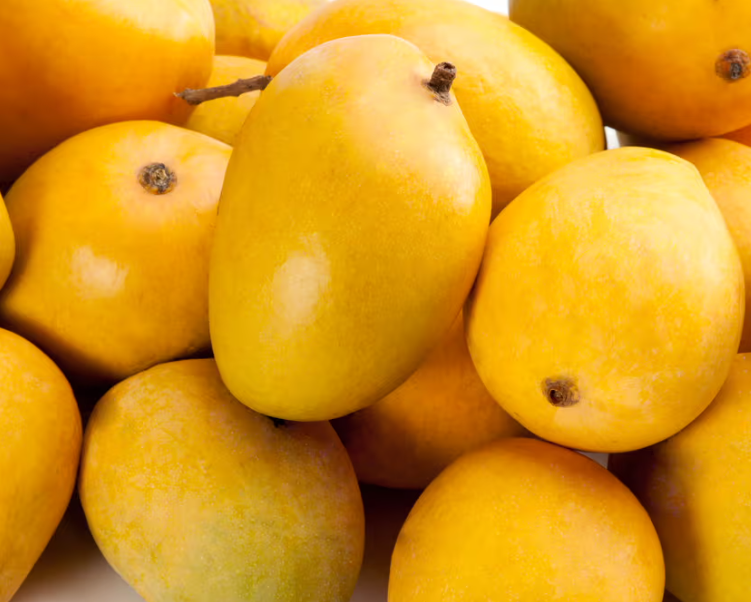 Mangoes (Alphonso)